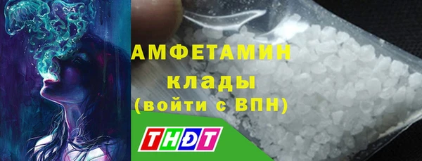 гашик Нефтекумск
