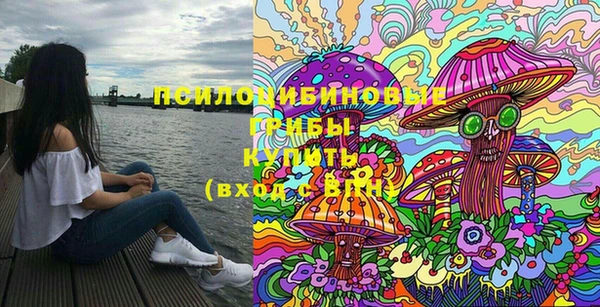марки nbome Новодвинск