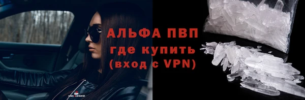 гашик Нефтекумск