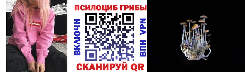 Галлюциногенные грибы ЛСД  хочу   Ленинск 